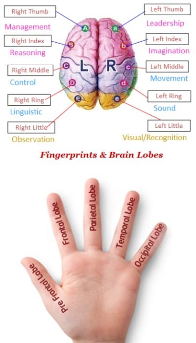 a9073cac-b66c-4d37-b6bd-26a7840c49e7